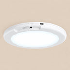 LumiSense Ceiling Light