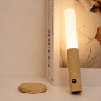 Lunor Motion Light