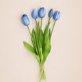 Nala Tulip Bouquet