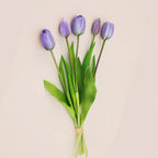 Nala Tulip Bouquet