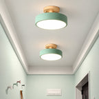Nori Ceiling Light