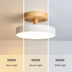 Nori Ceiling Light