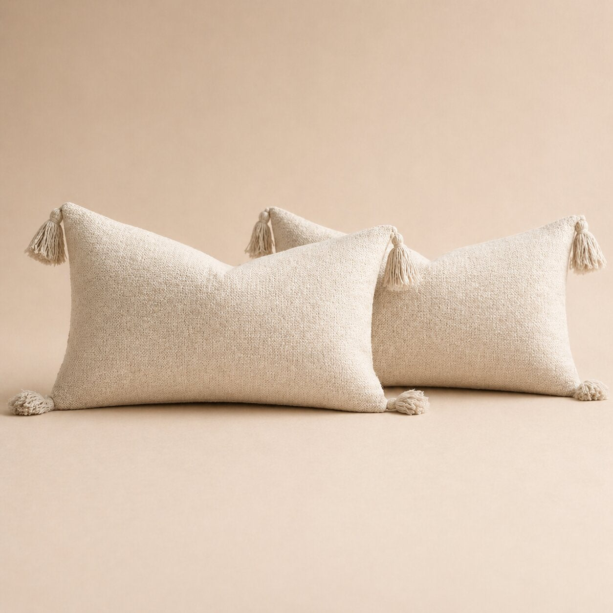 Ramona Pillow Cover Set of 2