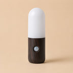 Lunelle Motion Sensor Night Light