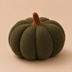 Pumpkin Throw Pillow Cushion