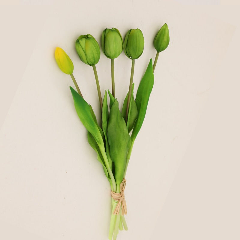 Nala Tulip Bouquet