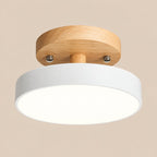 Nori Ceiling Light