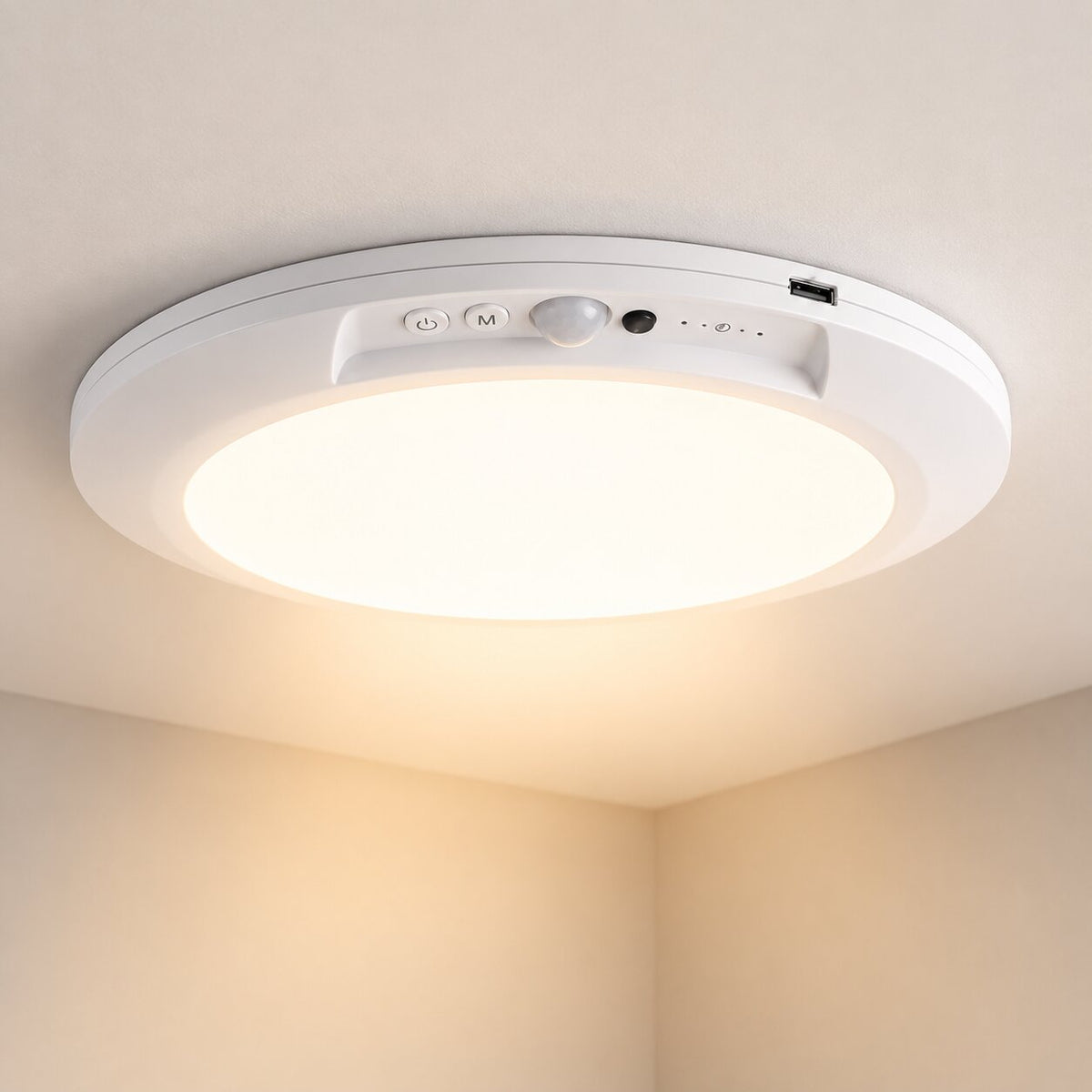 LumiSense Ceiling Light