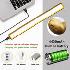 LumiFrame Picture Light