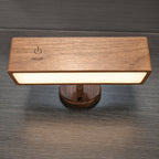 LumiSense Rechargeable Wall Light