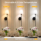 Elara Cordless Wall Sconce Set of 2