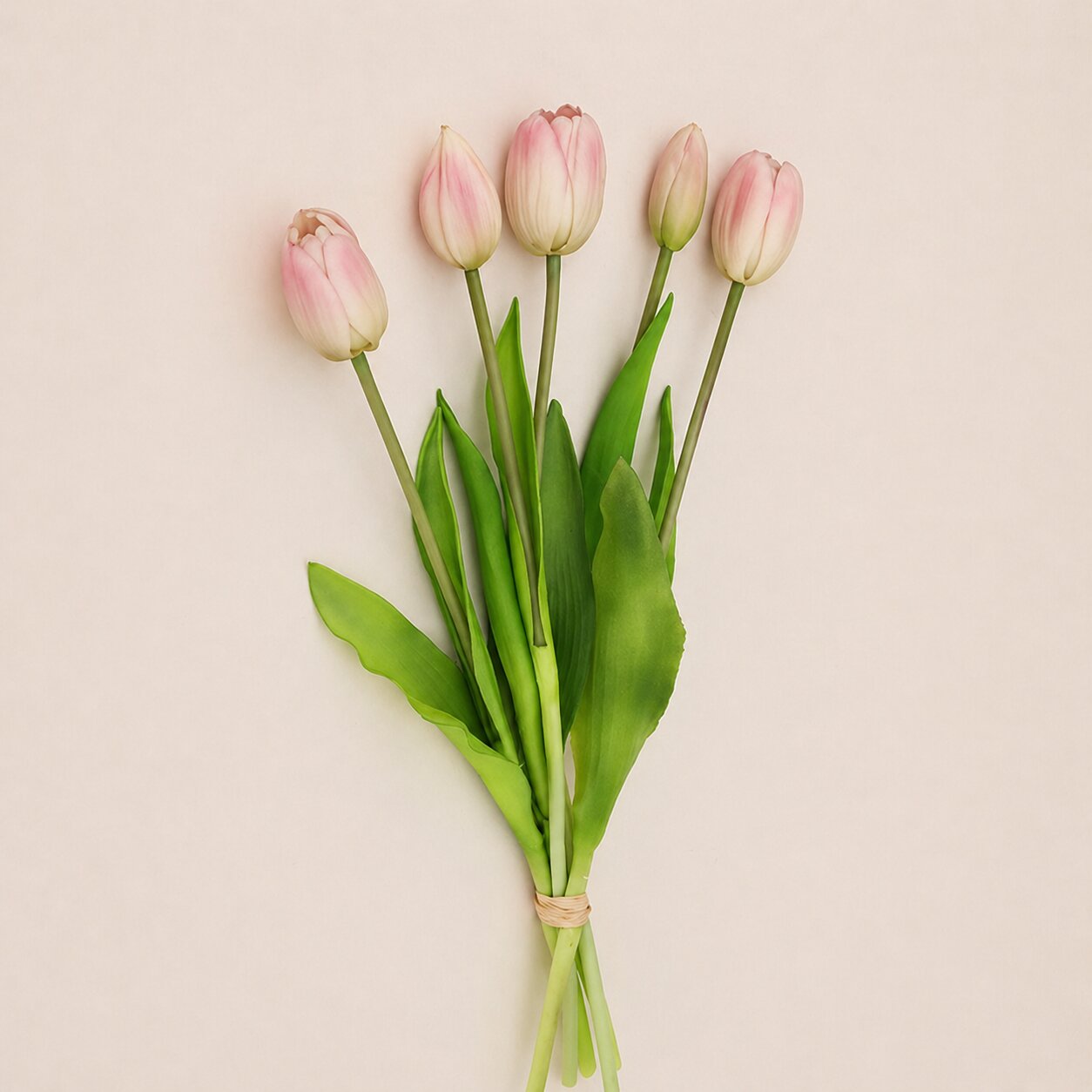 Nala Tulip Bouquet