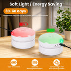 Glow Motion Light