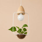Sylvie Plant Pendant Light