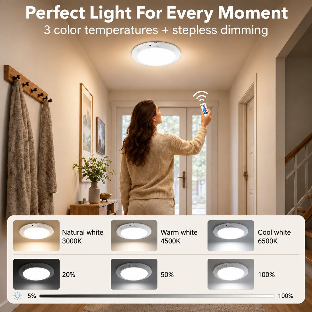 LumiSense Ceiling Light