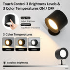 Aster Magnetic Wall Light
