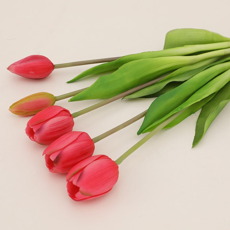 Nala Tulip Bouquet