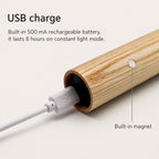 Lunor Motion Light